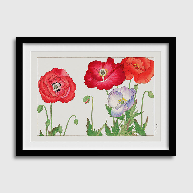 Vintage Poppy Fllowers-03