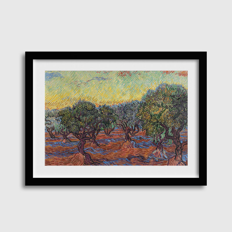 Olive Grove-Van Gogh