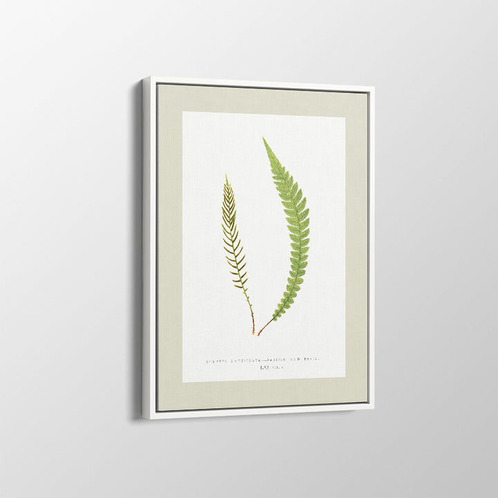 Botanical-02