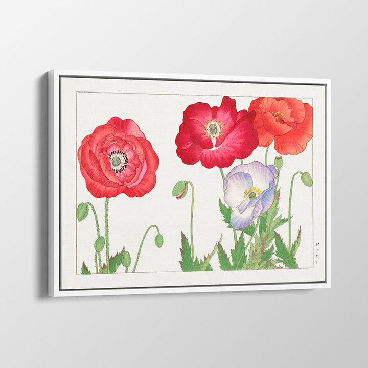 Vintage Poppy Fllowers-03