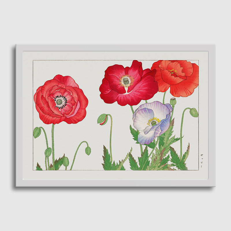 Vintage Poppy Fllowers-03