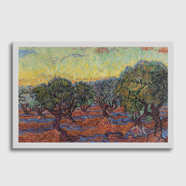 Olive Grove-Van Gogh