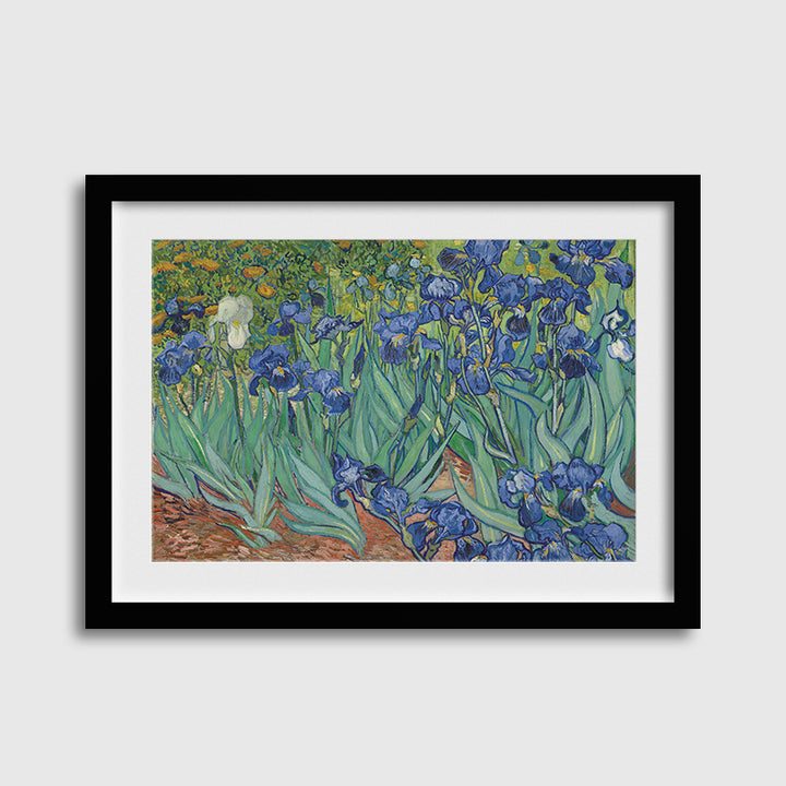 Irises-Van Gogh