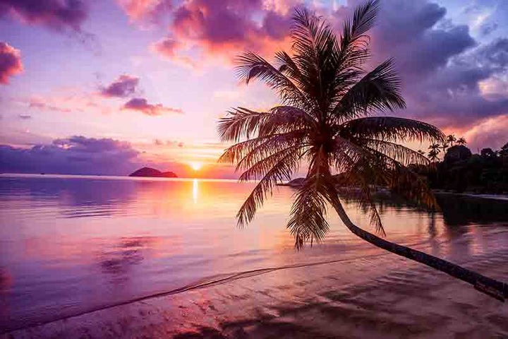 Sunset on a tropical paradise beach