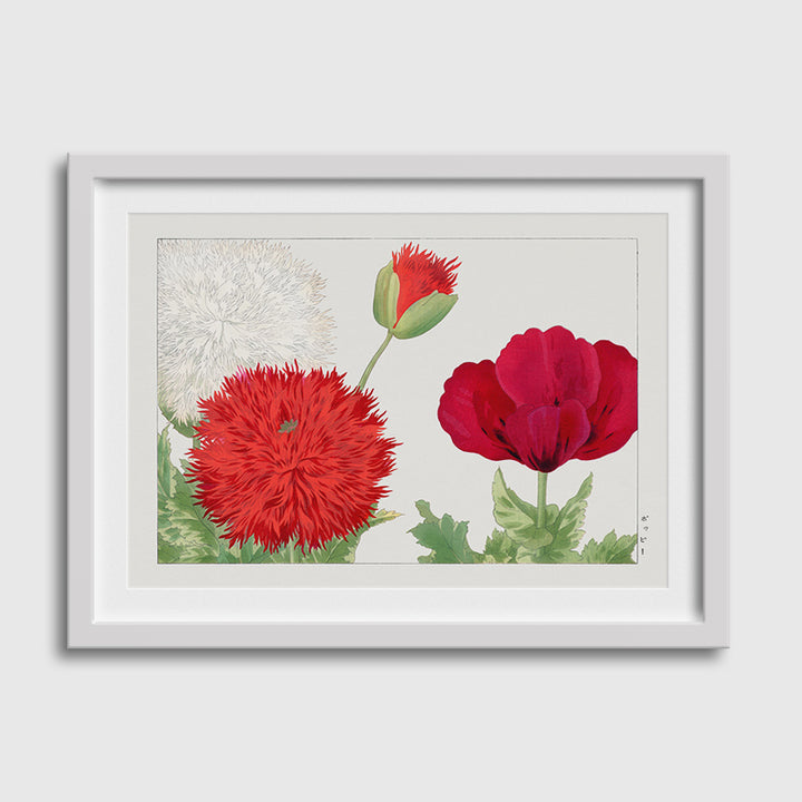 Vintage Poppy Fllowers-04