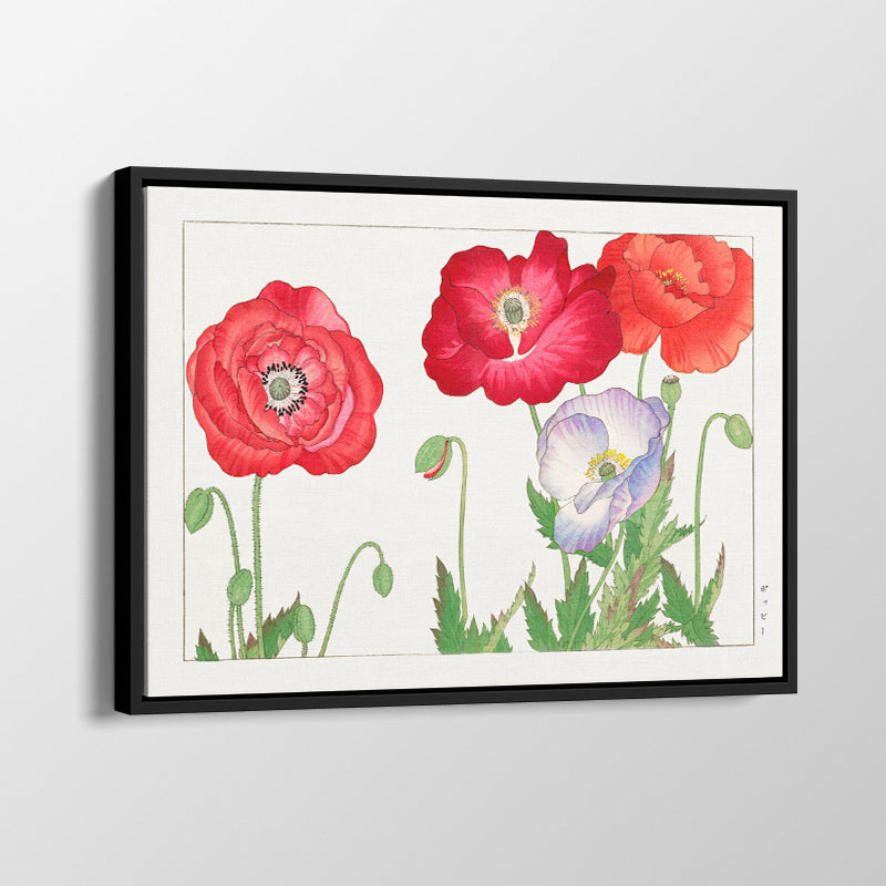 Vintage Poppy Fllowers-03