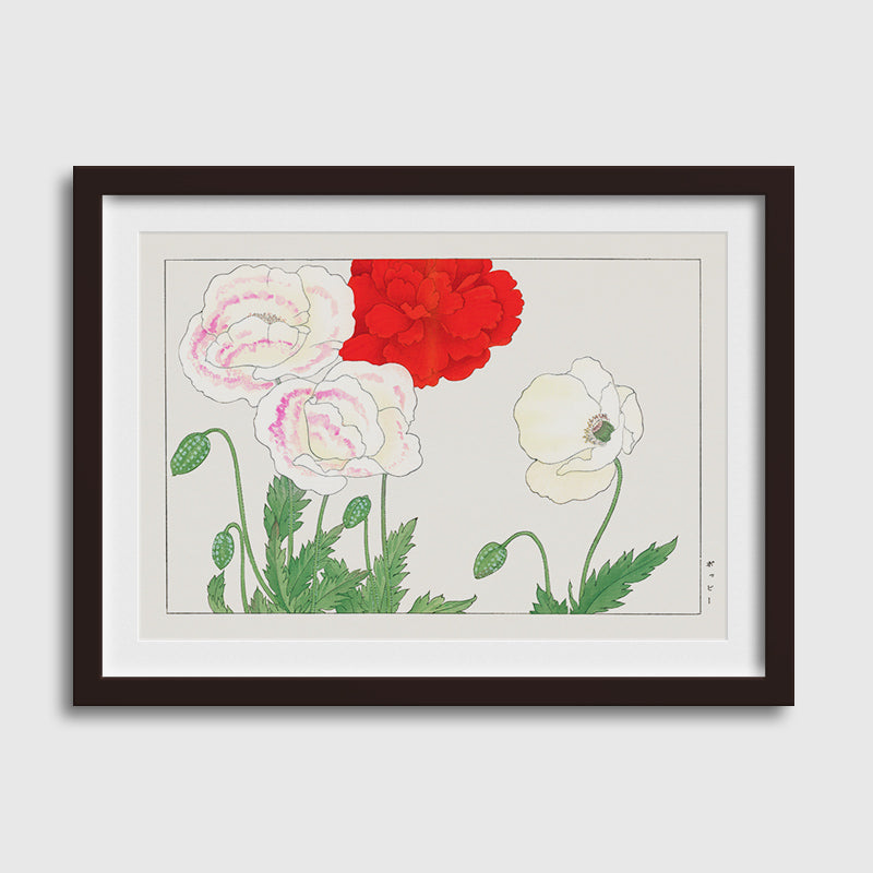 Vintage Poppy Fllowers-01