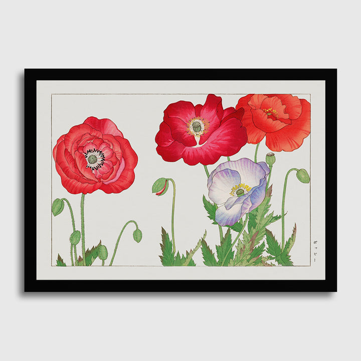 Vintage Poppy Fllowers-03