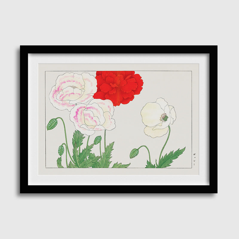 Vintage Poppy Fllowers-01