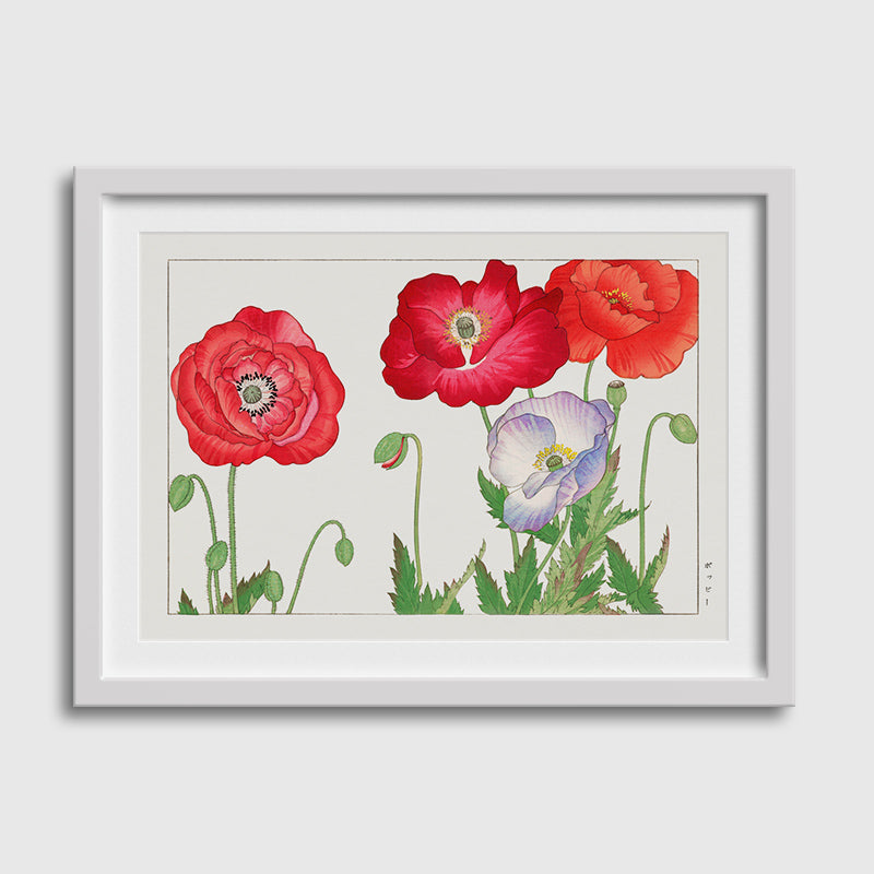 Vintage Poppy Fllowers-03