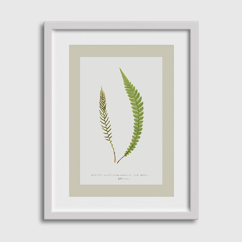 Botanical-02