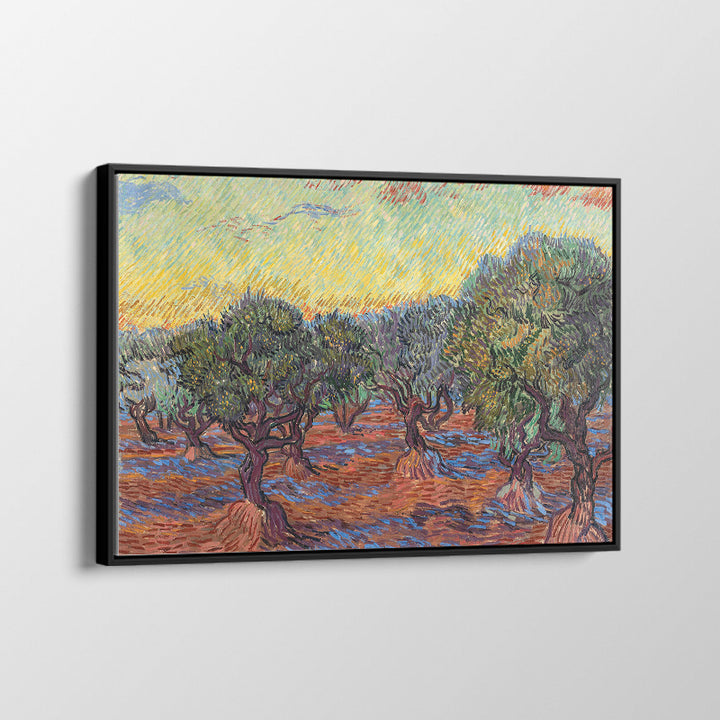 Olive Grove-Van Gogh