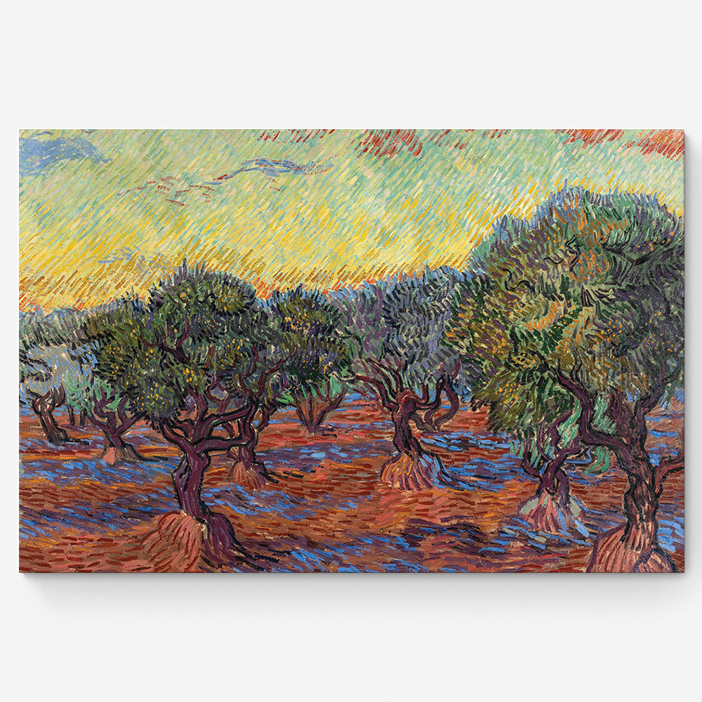 Olive Grove-Van Gogh