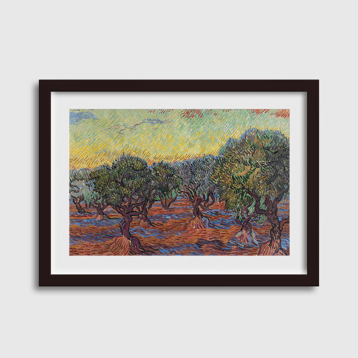 Olive Grove-Van Gogh