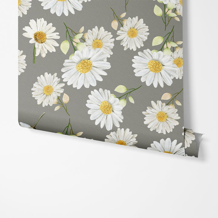 Bundle of White Sunflowers in Grey