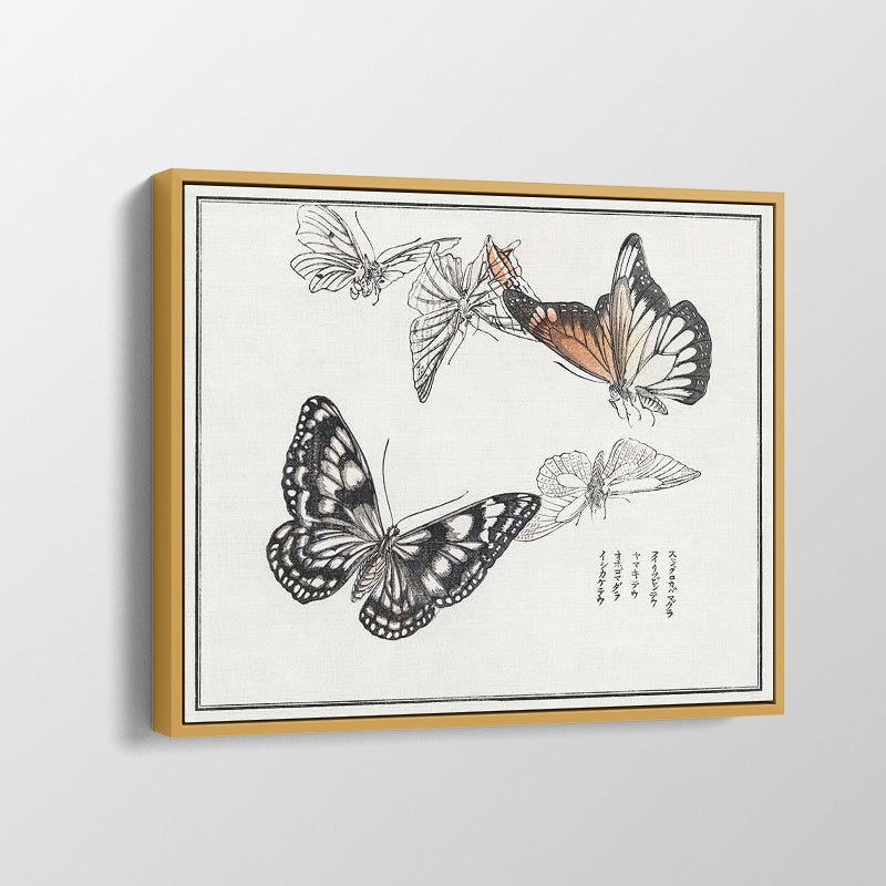 Butterflies Illustration