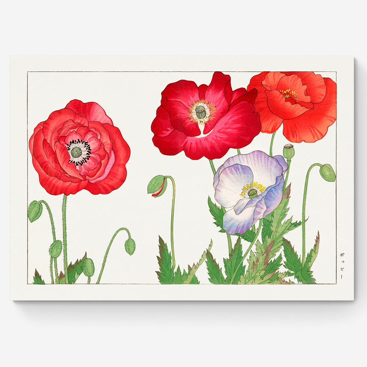 Vintage Poppy Fllowers-03