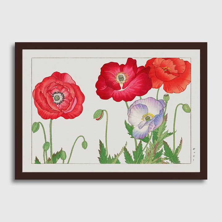 Vintage Poppy Fllowers-03